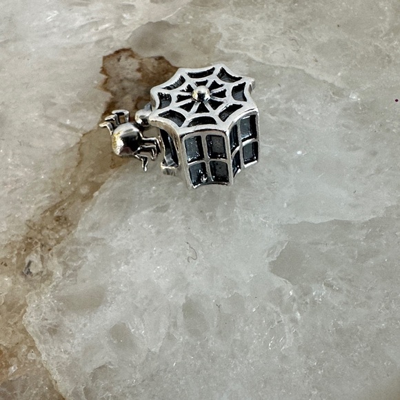 Vintage, Sterling Silver, Retired Chamilia Charm, Rare Spider Web Charm - Picture 4 of 5